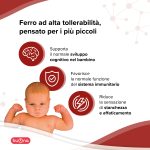 Ferrodue - immagine 2