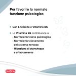 Sedactin - Image 2