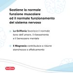 Periodar - Image 2